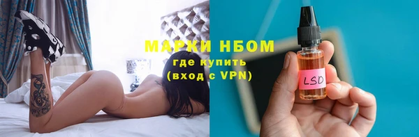 ПСИЛОЦИБИНОВЫЕ ГРИБЫ Баксан