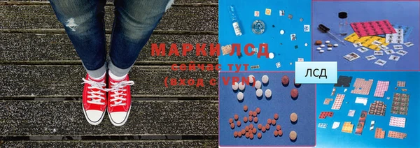 ПСИЛОЦИБИНОВЫЕ ГРИБЫ Баксан